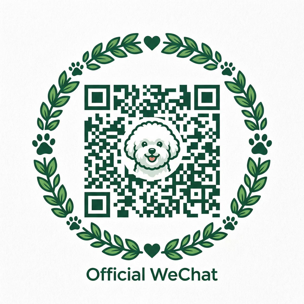 91公众号二维码